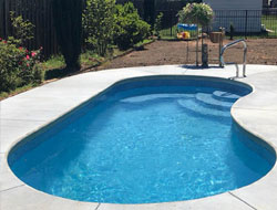 Kidney Shaped Swimming Pools Manufacturer in Agra